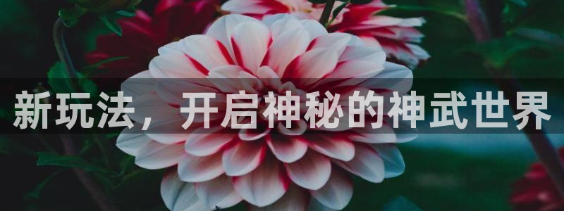 摩根娱乐挂机项目有哪些：新玩法，开启神秘的神武世界