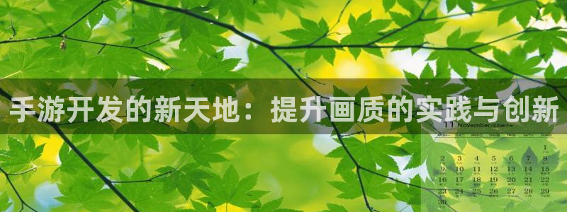 摩根娱乐娱乐官网入口网址：手游开发的新天地：提升画质的实践与