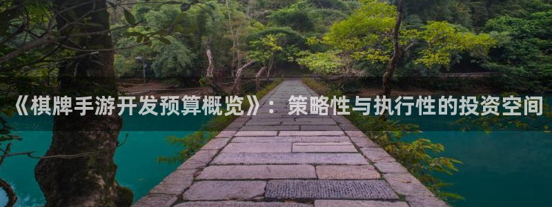 摩根娱乐挂机教程：《棋牌手游开发预算概览》：策略性与执行性的