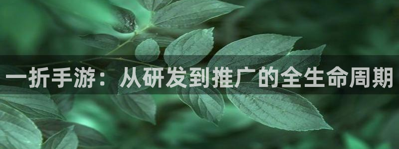 摩根娱乐官网入口网站下载：一折手游：从研发到推广的全生命周期