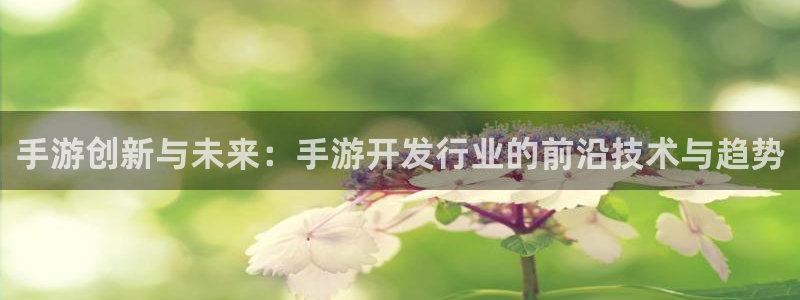 摩根娱乐是个什么平台啊多少钱：手游创新与未来：手游开发行业的