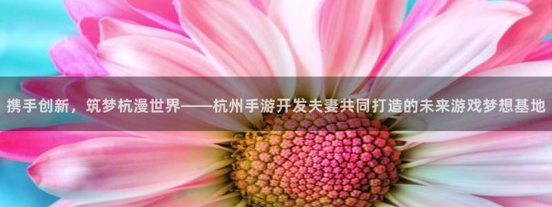 摩根娱乐是正规合法的吗是真的吗：携手创新，筑梦杭漫世界——杭
