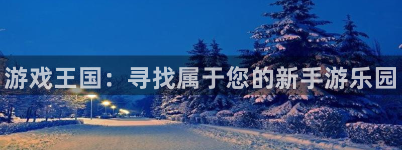 摩根娱乐：游戏王国：寻找属于您的新手游乐园