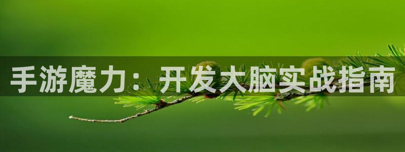 摩根娱乐官网入口网站在线观看：手游魔力：开发大脑实战指南