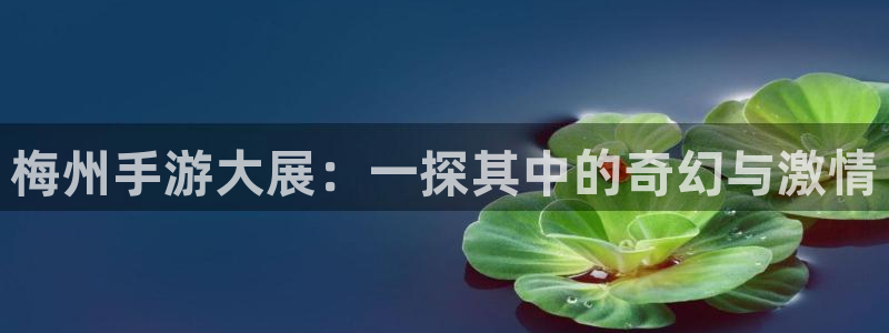 摩根娱乐app：梅州手游大展：一探其中的奇幻与激情