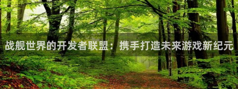 摩根娱乐官网入口网址是什么：战舰世界的开发者联盟：携手打造未