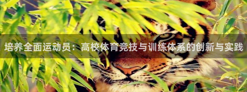 米兰体育网站