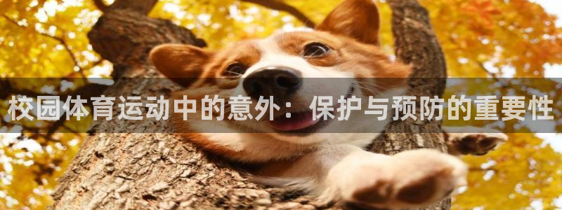 米兰体育网页版：校园体育运动中的意外：保护与预防的重要性