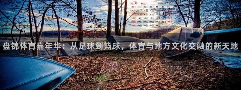 米兰体育怎么样：盘锦体育嘉年华：从足球到篮球，体育与地方文化交融的新天地