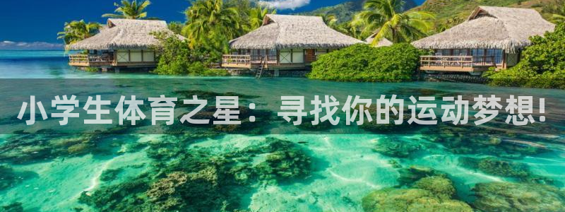 米兰体育在线