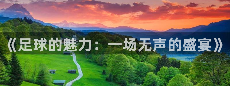 米兰体育靠谱吗：《足球的魅力：一场无声的盛宴》